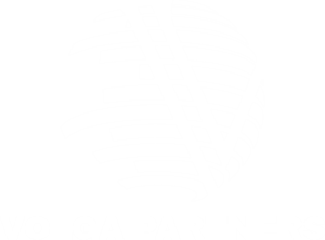 Volga Partners